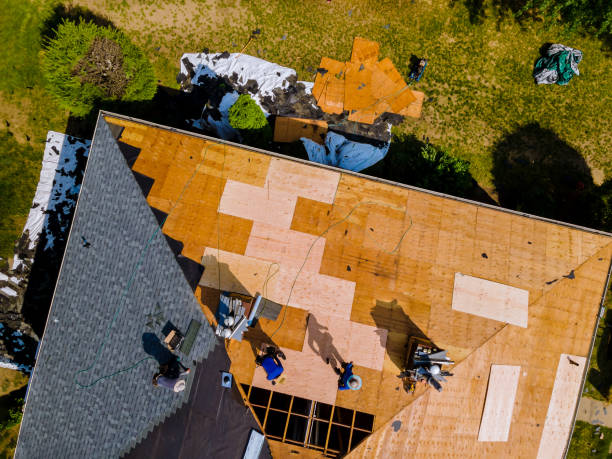 Best Roof Maintenance Services  in Mitchell, NE