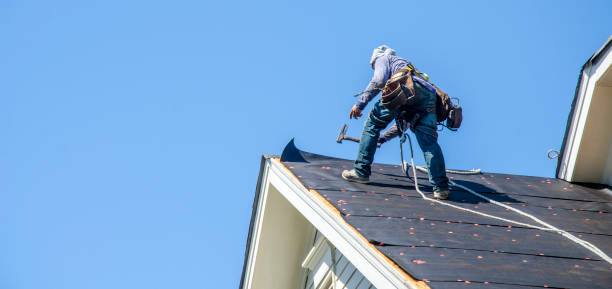 Best New Roof Installation  in Mitchell, NE